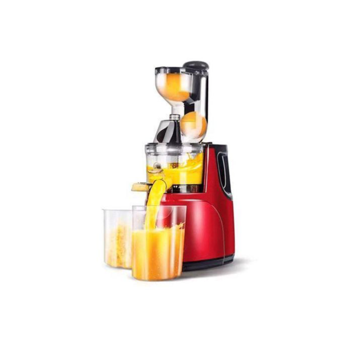 Telaisi Slow Juicer/Blender 0.5L